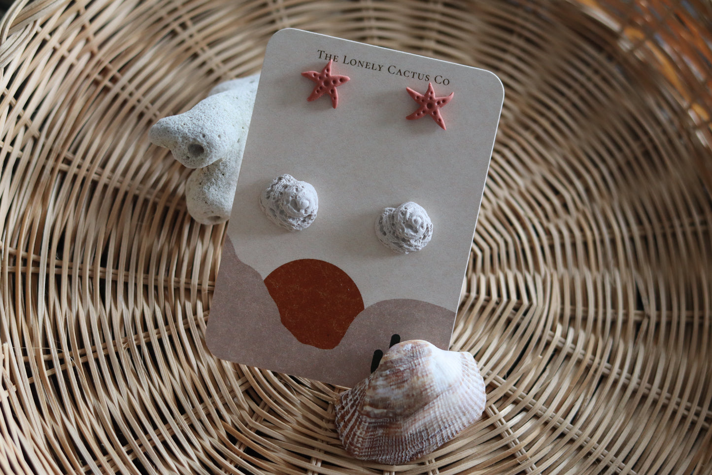 Sea Shell Collection